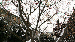 Snježni đir oko Gradske knjižnice Zadar, Foto: Lucija Juravić Snježni đir oko Gradske knjižnice Zadar, Foto: Lucija Juravić