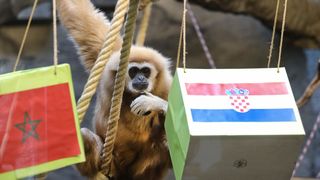 Gibon Kent odabrao pobjednika utakmice Hrvatska – Maroko