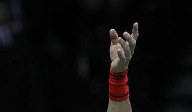 David Ferrer, foto: Marca.com