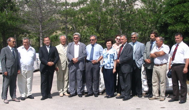 Image 1203417 (auto)