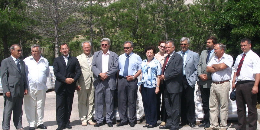 Image 1203417 (auto)