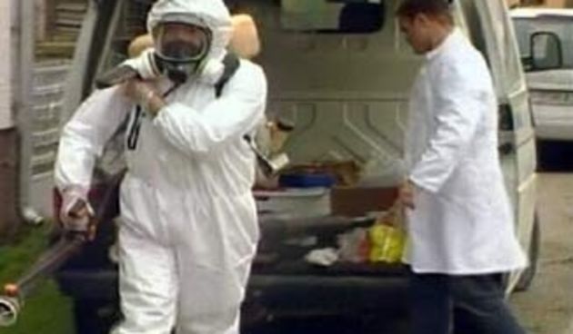 Svinjska kuga u Zagorju/Foto: HTV