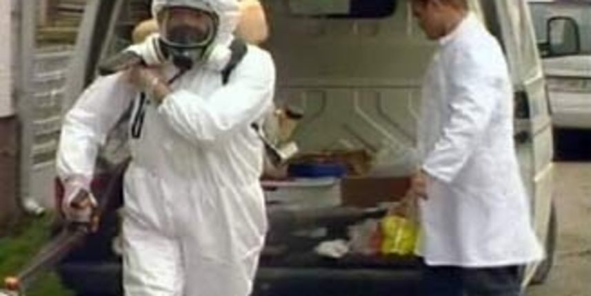 Svinjska kuga u Zagorju/Foto: HTV Svinjska kuga u Zagorju/Foto: HTV