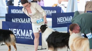 Međunarodna izložba pasa CACIB 2023