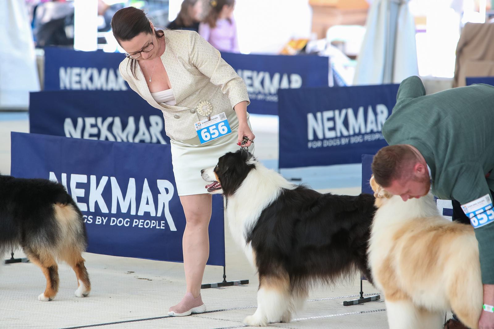 Međunarodna izložba pasa CACIB 2023