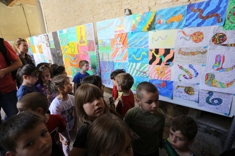 U Knezevoj palaci otvorena je izlozba djecjih radova na temu “Zmije – opasna ljepota”. Photo: Filip Brala/PIXSELL U Knezevoj palaci otvorena je izlozba djecjih radova na temu “Zmije – opasna ljepota”. Photo: Filip Brala/PIXSELL