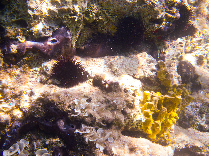 OLYMPUS DIGITAL CAMERA OLYMPUS DIGITAL CAMERA