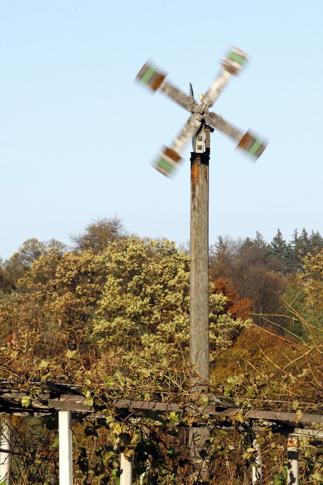 Varazdin, 301010.
Na podrucju brdovitog dijela opcine Vinice, koja je udaljena petnaest-ak kilometara od Varazdina ovih dana se moze vidjeti predivan spektar boja koje su nam dostupne samo nekoliko dana u godini.
Naime, pocetak opadanja lisca s drveca i p Varazdin, 301010.
Na podrucju brdovitog dijela opcine Vinice, koja je udaljena petnaest-ak kilometara od Varazdina ovih dana se moze vidjeti predivan spektar boja koje su nam dostupne samo nekoliko dana u godini.
Naime, pocetak opadanja lisca s drveca i p