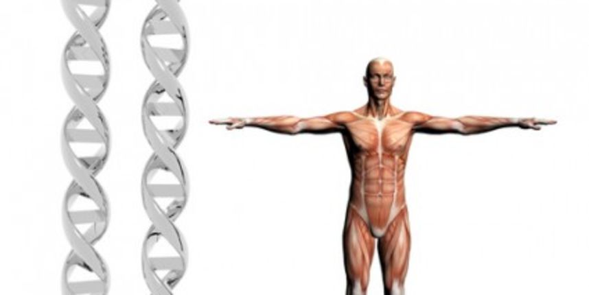 Misteriji ljudske evolucije (Metro-portal.hr ) Misteriji ljudske evolucije (Metro-portal.hr )