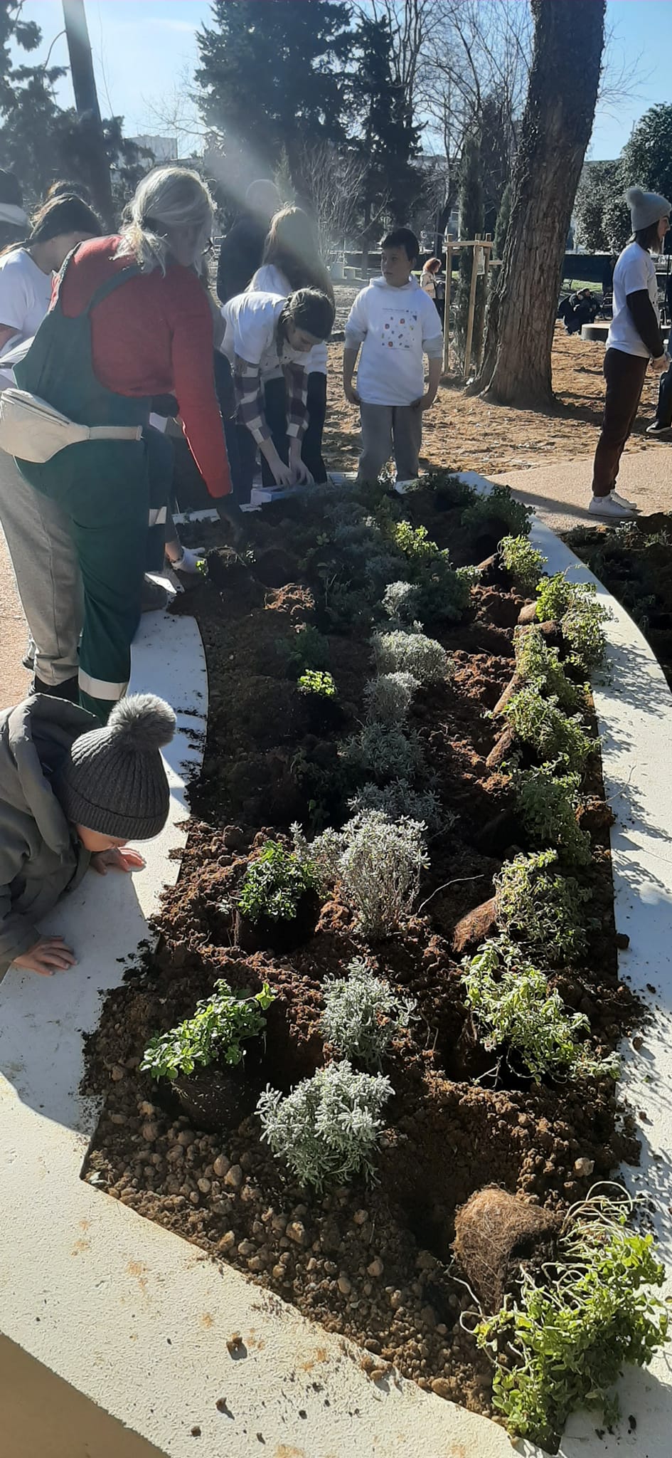 Volonteri uljepšali park Vruljica sadnjom cvijeća