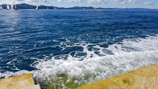 Zadarska Koka 2016. 22. listopada 2016. Foto: Mladen Malik Zadarska Koka 2016. 22. listopada 2016. Foto: Mladen Malik