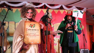 Virske maškare 2018: Defile maškaranih skupina i fešta uz “Koktelse”