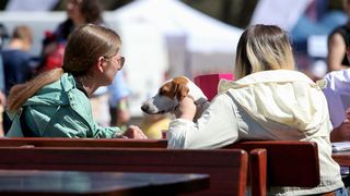 Međunarodna izložba pasa CACIB 2023