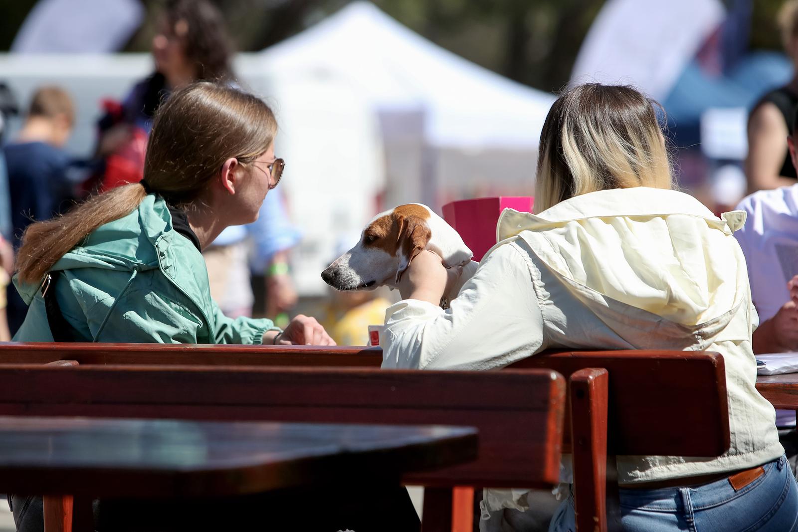Međunarodna izložba pasa CACIB 2023