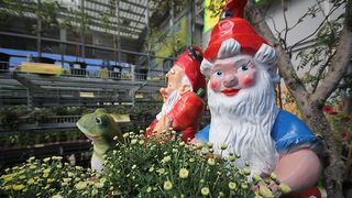 Velika fešta u bauMaxu 8. rujna 2012, Foto: Saša Čuka Velika fešta u bauMaxu 8. rujna 2012, Foto: Saša Čuka