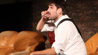 Nakon svecane podjele nagrada publici je prikazana predstava Slucaj rogonja.