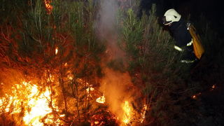 Zadar, 070311.
Vatrogasci iz Zadra od popodnevnih sati bore se sa pozarom koji je izbio na podrucju izmedju Zadra i Murvice, tocnije na predjelu Baricevici.
Foto: Jure Miskovic / CROPIX