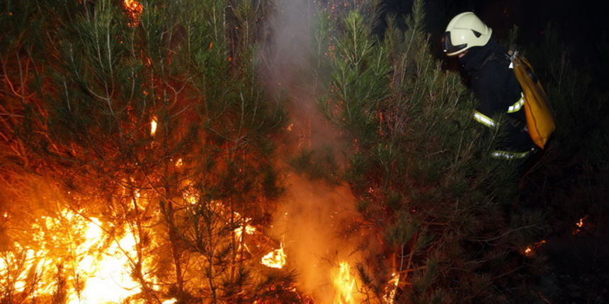 Zadar, 070311.
Vatrogasci iz Zadra od popodnevnih sati bore se sa pozarom koji je izbio na podrucju izmedju Zadra i Murvice, tocnije na predjelu Baricevici.
Foto: Jure Miskovic / CROPIX Zadar, 070311.
Vatrogasci iz Zadra od popodnevnih sati bore se sa pozarom koji je izbio na podrucju izmedju Zadra i Murvice, tocnije na predjelu Baricevici.
Foto: Jure Miskovic / CROPIX