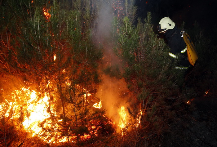 Zadar, 070311.
Vatrogasci iz Zadra od popodnevnih sati bore se sa pozarom koji je izbio na podrucju izmedju Zadra i Murvice, tocnije na predjelu Baricevici.
Foto: Jure Miskovic / CROPIX