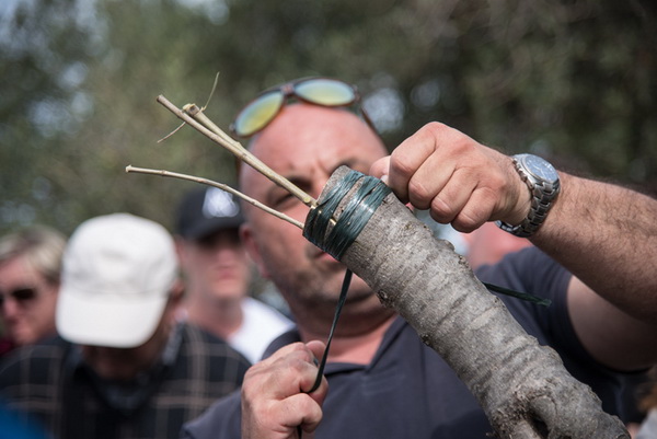 U Vrtovima lunjskih maslina održana 12. Lunjska maslinada. Foto: Vinko Pešić