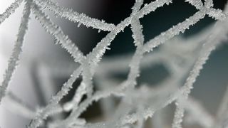 Zbog jutarnjih temperatura u minusu raslinje na kontinentu je prekriveno injem