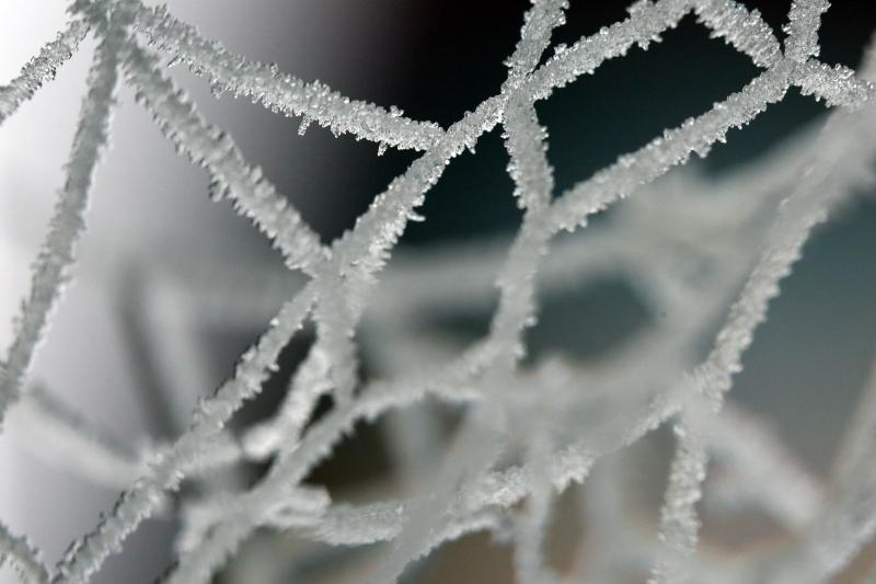 Zbog jutarnjih temperatura u minusu raslinje na kontinentu je prekriveno injem