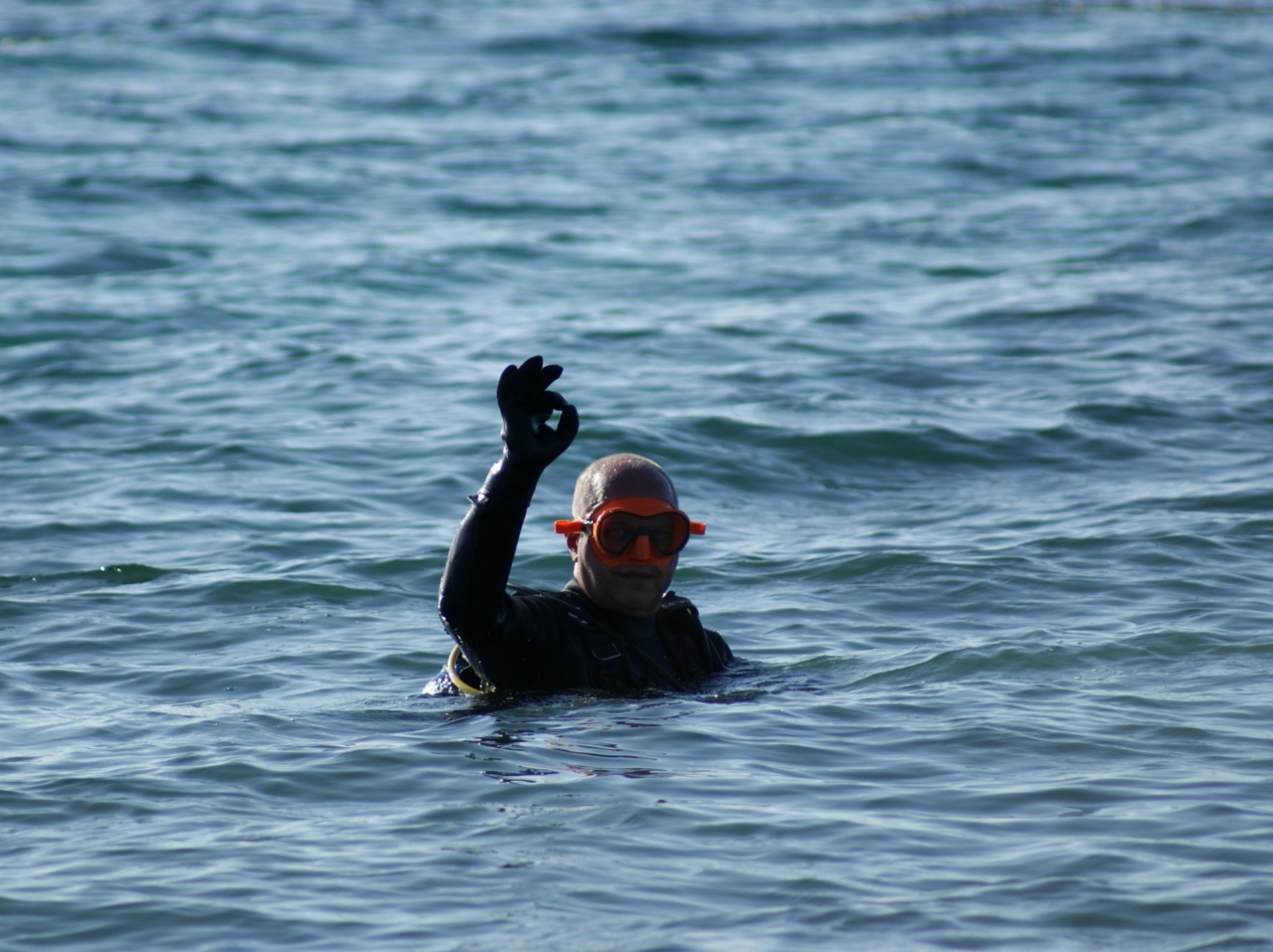 Eko Vir 2024.: Čišćenje podmorja u Radovanjici, Miljkovici i Prezidi Eko Vir 2024.: Čišćenje podmorja u Radovanjici, Miljkovici i Prezidi