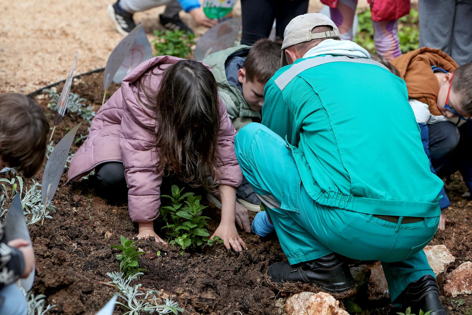 U Vruljici uređen Kišni vrt U Vruljici uređen Kišni vrt