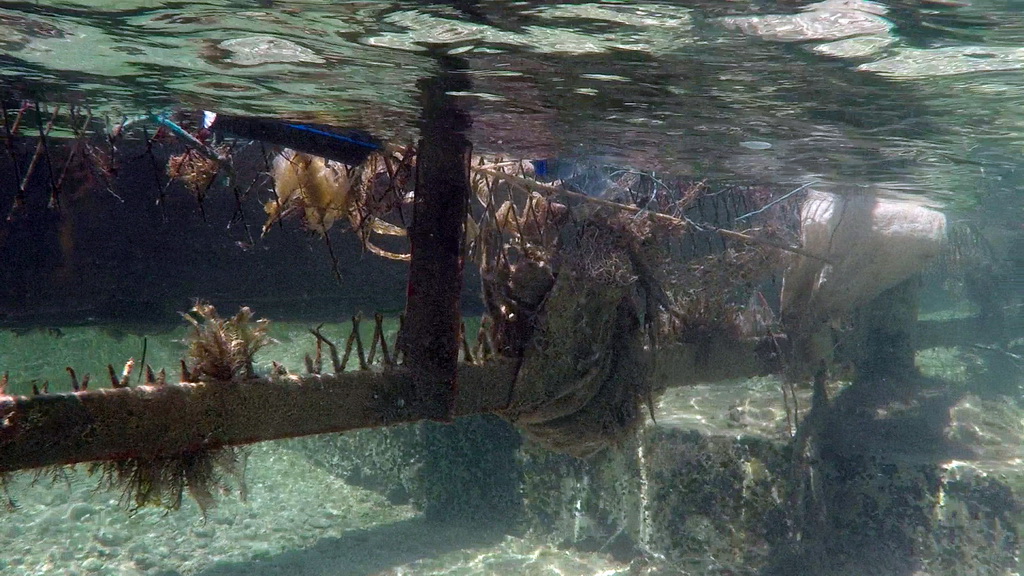 Greenpeace upozorava na problem bacanje plastike u more Greenpeace upozorava na problem bacanje plastike u more