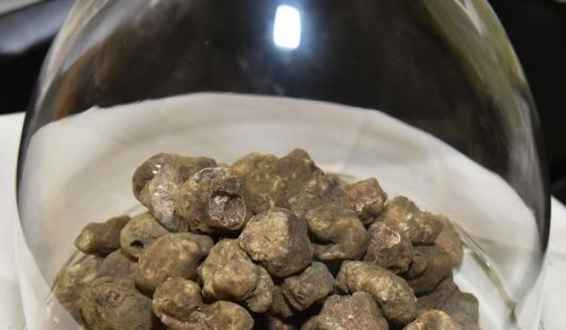 U velikom satoru podno starog grada Buzeta otvoren je 15. vikend festival istarskih tartufa koji traje 05. i 06. studenog u svrhu i s ciljem promoviranja, degustiranja i prodaje tartufa, te drugih kvalitetnih autohtonih proizvoda Buzestine i Istre (med, s