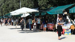 Đir po zadarskoj rivi 1. listopada 2016.