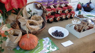 Narodni trg: Dalmatinska eko fešta Narodni trg: Dalmatinska eko fešta