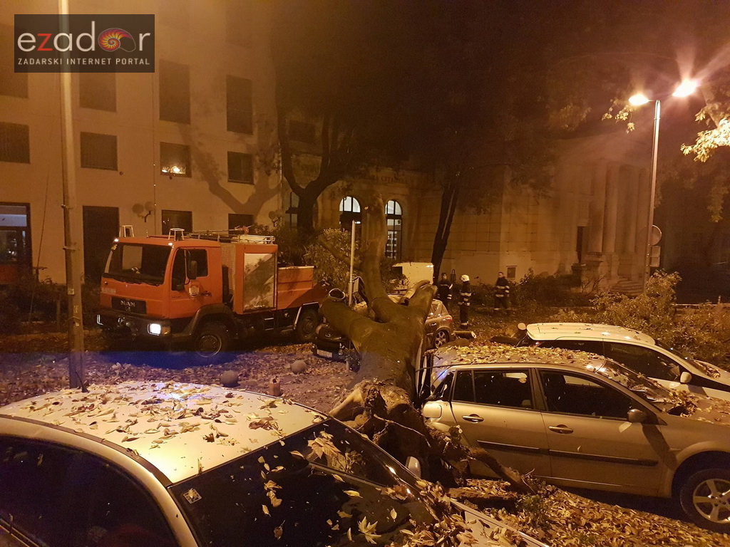 Jak vjetar srušio stablo na parkirane automobile kod OŠ Petar Preradović na Poluotoku