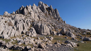 OLYMPUS DIGITAL CAMERA OLYMPUS DIGITAL CAMERA