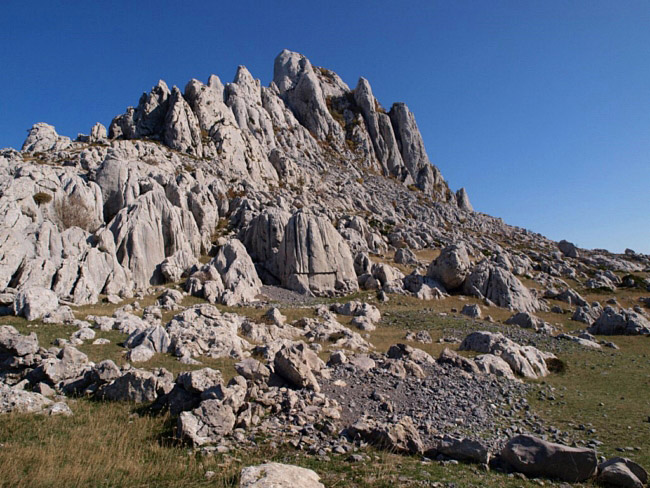 OLYMPUS DIGITAL CAMERA OLYMPUS DIGITAL CAMERA