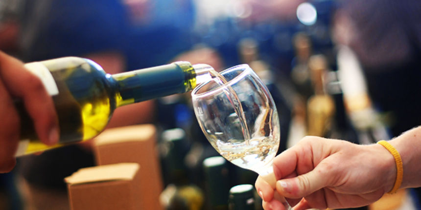 Donat wine festival 2011 (foto:Saša Čuka) Donat wine festival 2011 (foto:Saša Čuka)