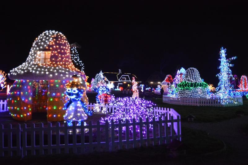Dva milijuna lampica za božićnu čaroliju na imanju Salaj