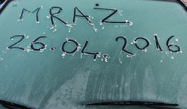 Mraz u Galovcu nanio ogromnu štetu poljoprivrednim kulturama a pogotovo voćkama i vinogradima. Foto: Silvio Marcus Milanko