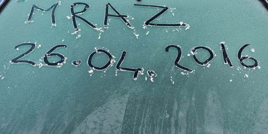 Mraz u Galovcu nanio ogromnu štetu poljoprivrednim kulturama a pogotovo voćkama i vinogradima. Foto: Silvio Marcus Milanko