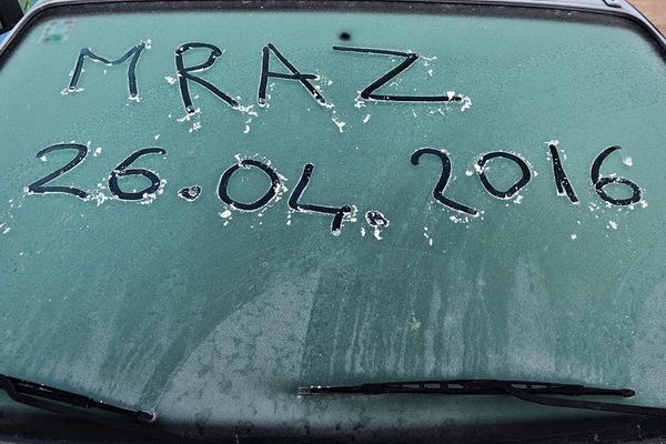 Mraz u Galovcu nanio ogromnu štetu poljoprivrednim kulturama a pogotovo voćkama i vinogradima. Foto: Silvio Marcus Milanko