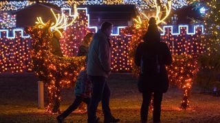 Još raskošnije izdanje: pogledajte kako izgleda Božićna priča obitelji Salaj gdje je ove godine zasjalo rekordnih 2.5 milijuna lampica