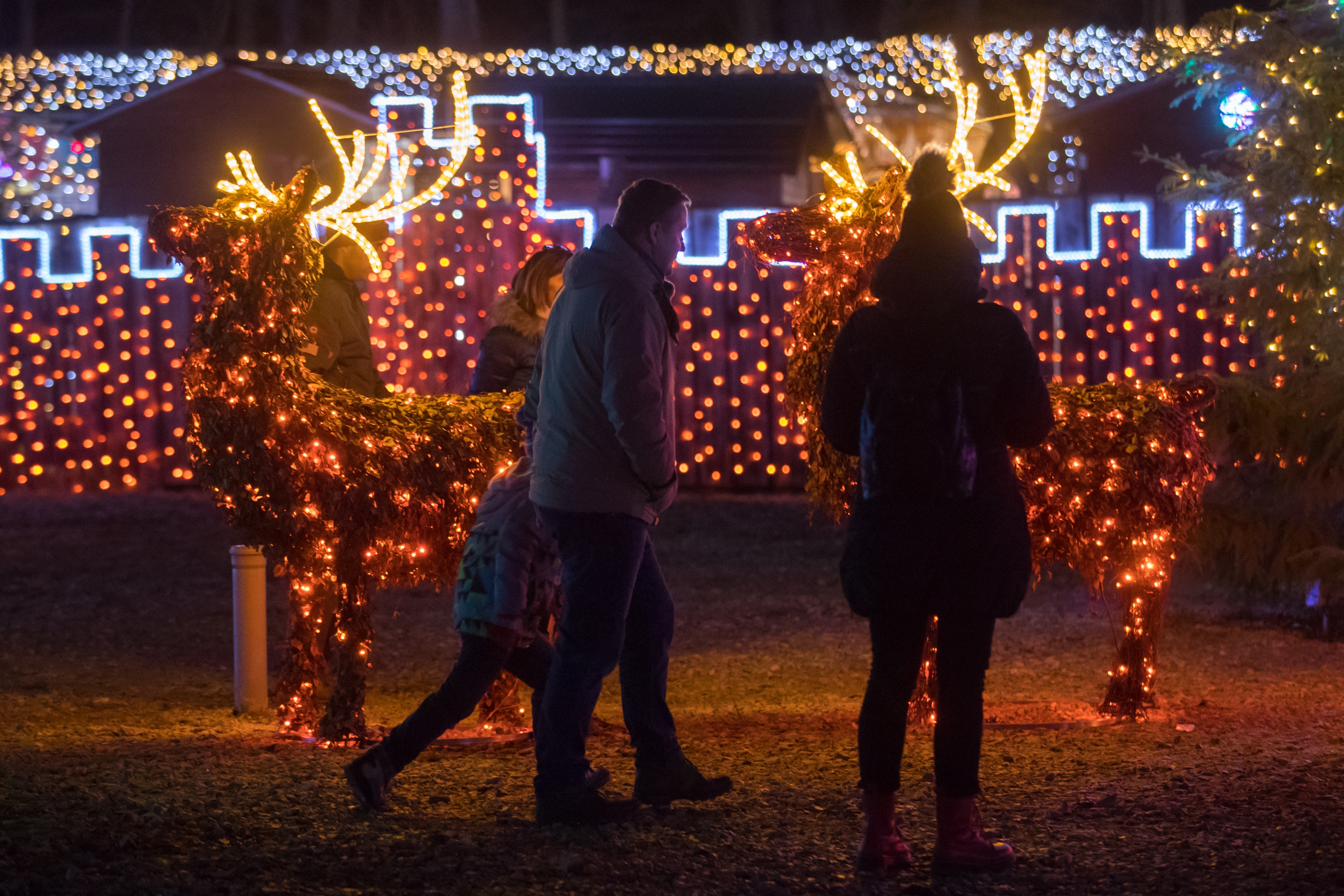 Još raskošnije izdanje: pogledajte kako izgleda Božićna priča obitelji Salaj gdje je ove godine zasjalo rekordnih 2.5 milijuna lampica