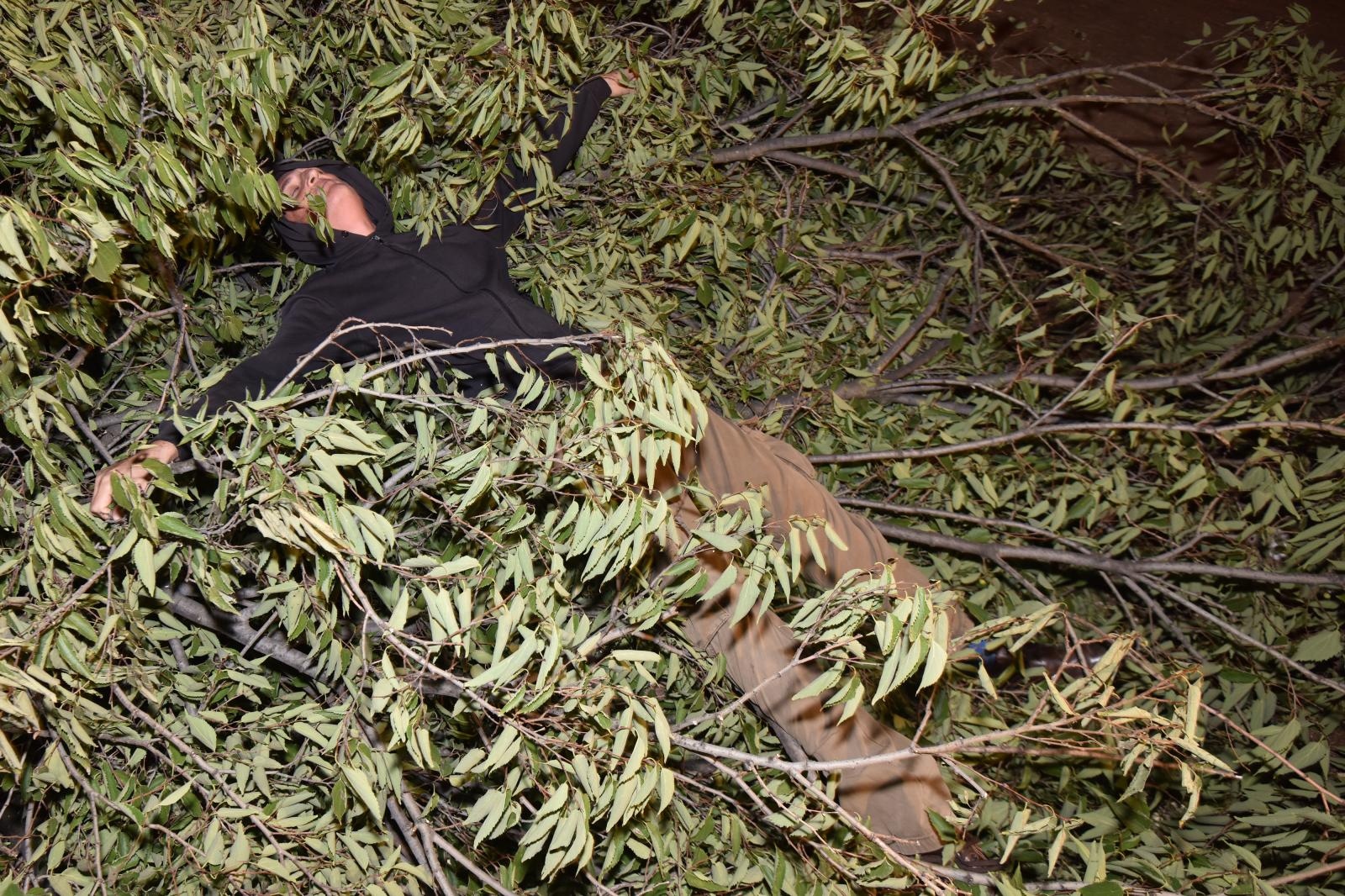 Prosvjed građana zbog odluke Grada da posječe drvored fafarikula u Vruljici Prosvjed građana zbog odluke Grada da posječe drvored fafarikula u Vruljici