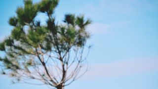 Đir po gradu, 22. siječnja 2016., foto: Iva Perinčić Đir po gradu, 22. siječnja 2016., foto: Iva Perinčić