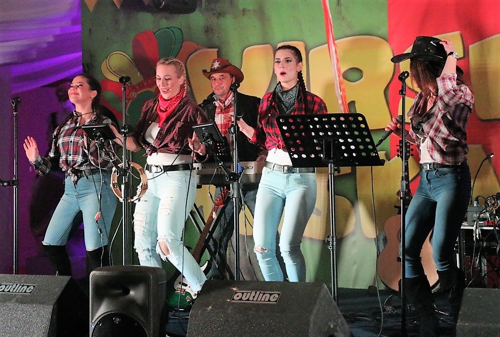 Virske maškare 2017: Vir Fešn Najt i izbor najboljih maski