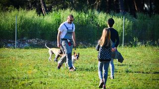 Kinološka udruga Malinois