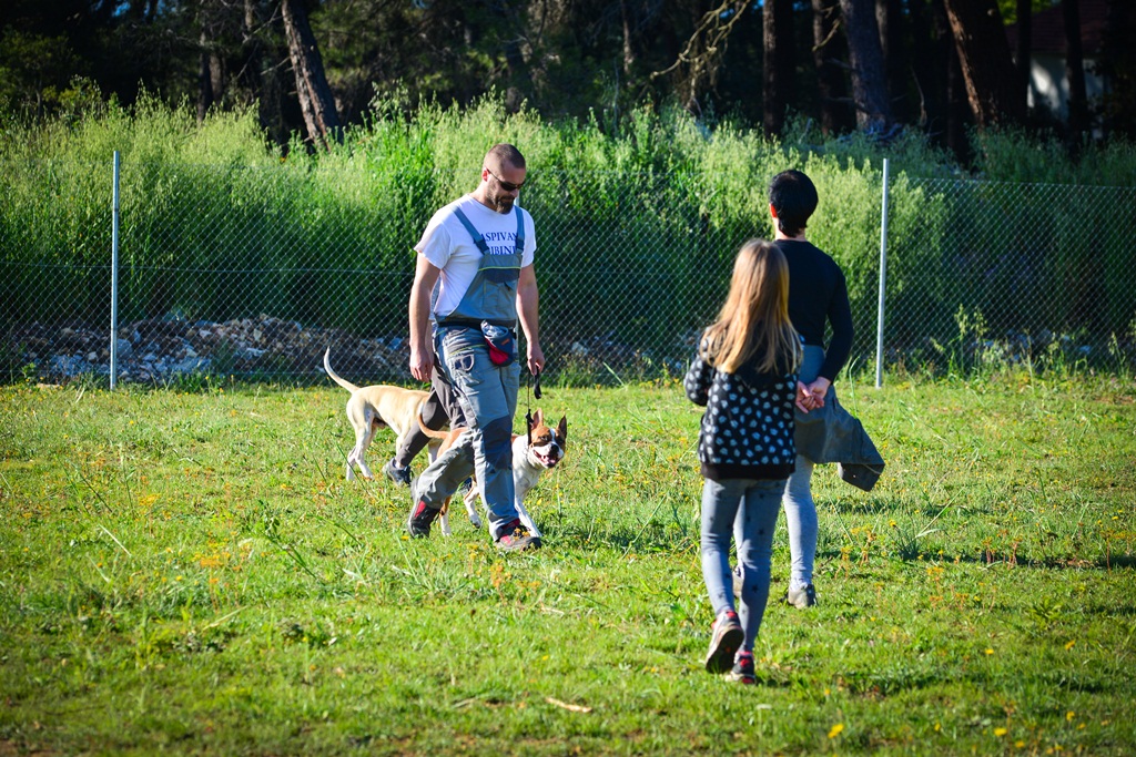 Kinološka udruga Malinois