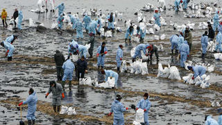 Image 1196799 (auto) Image 1196799 (auto)