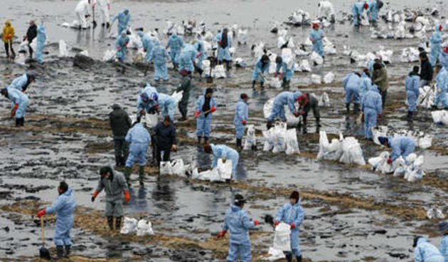 Image 1196799 (auto)