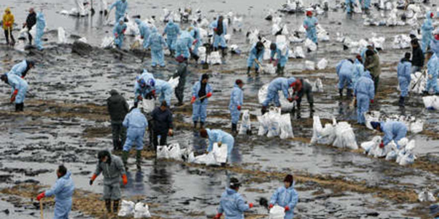 Image 1196799 (auto) Image 1196799 (auto)